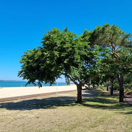 Coin De Paradis Romantique Vue 10m Arcachon
